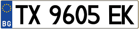 Trailer License Plate